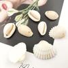20pcs Natural Shell Conch Coquillage Bead Pendants Craft DIY Jewelry Making