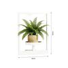 Elegant Wall Mounted Plant Support White Metal Flower Shelf For Inside Outside Home Garden Deck