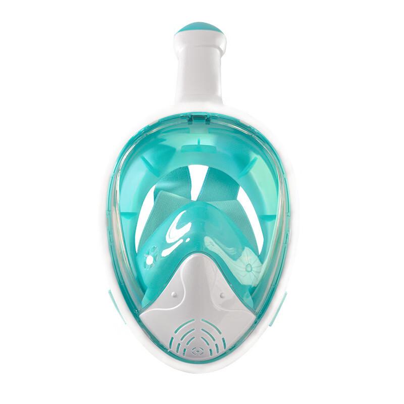 PULIAN Full Dry Diving Mask