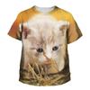 Summer Round Neck 3D Printed Cute Cat Pattern Top Fashionable Casual Short Sleeved Children's Boy and Girl Kids Unisex T-shirts