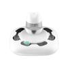 Motorized Animal Play Device Including Rechargeable Battery And Stable Base To Support Healthy Hunting Behavior