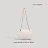 2025 Women's Fashion Bow Small Square Crossbody Bag - Versatile and Chic with Chain Detail