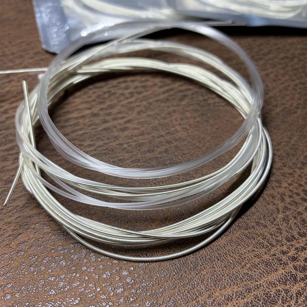 Classical Nylon Guitar Strings in Foil Bags with Cases