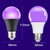 Led Işıklar – LED Ampuller ve Çubuklar