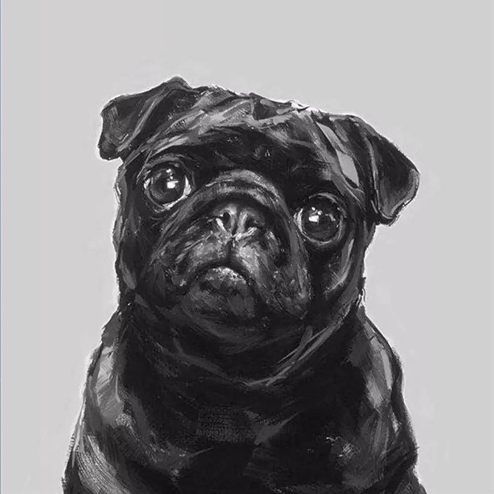 

Алмазная вышивка собака вышивка крестом полная дрель квадратная алмазная живопись животное мозаика декор для дома Full Square 30x30CM темно серый