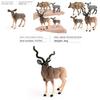 Childs Science Learning Jungle Animal Pvc Toy With Realistic Antelope For Classroom Display