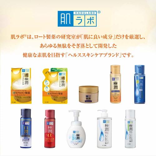 Hada Labo Nougokujun All-in-one Perfect Gel Refill 80g X 2 Piece Set + Gokujun Sachet Included