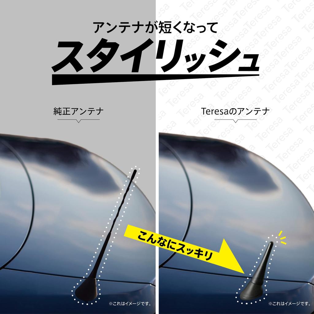 Teresa Car Antenna Roadster Nd Roadster Short Antenna Parts Screws Included (2 Pieces)