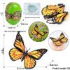 4D Insect Model Toy Set: Ladybug, Stag Beetle, Centipede, Ant, Fly, Mantis