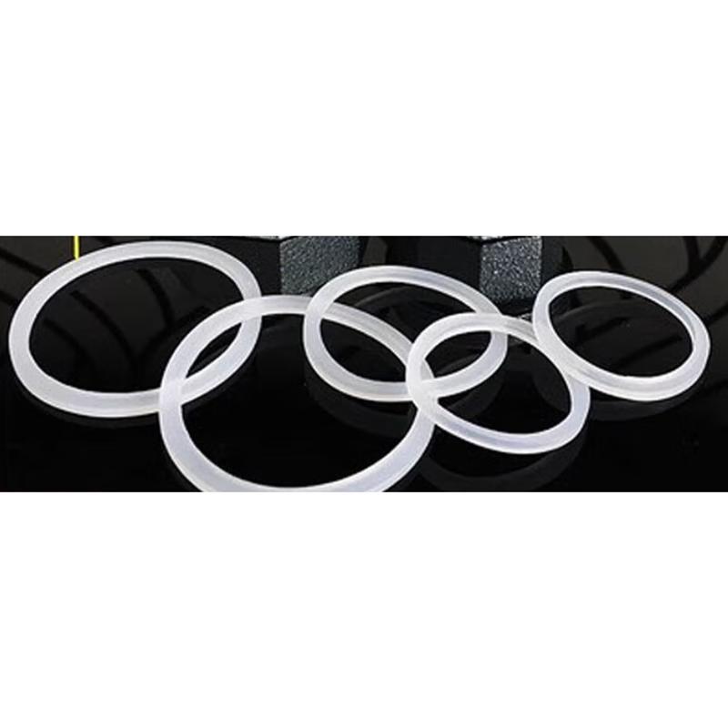 Stainless Steel 1-Inch External Thread Union Gasket