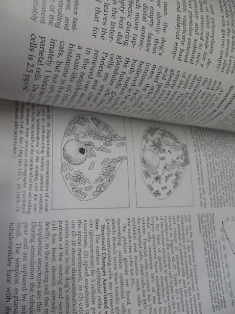 [USED] Hospital Disposal Book Gastroenterology 2 Fourth Foreign Book