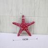 Middellandse Zee Zeester Hanger Muurornament