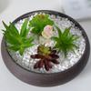 Charming For Bonsai Succulent Arrangement For Home Office Decor Artificial Succulents Plant Small Bonsai Decor Without Basin