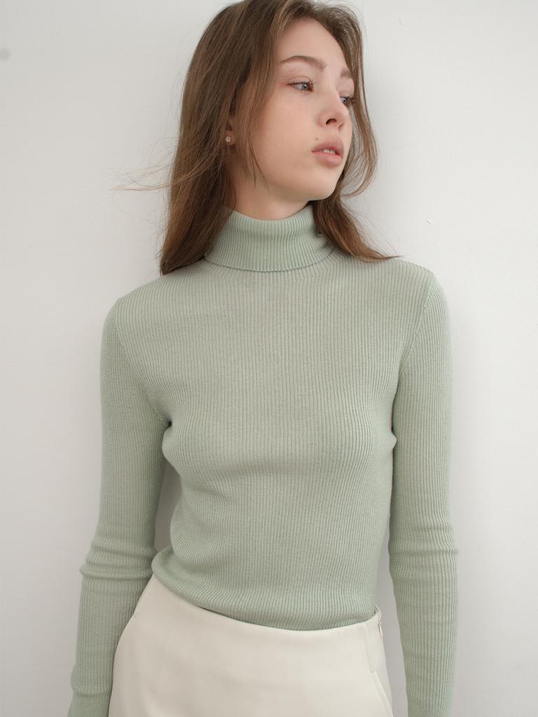 Antome Essential Fluid Turtleneck (Sage Mint)