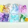 Artistic Dried Floral Arrangement In Resin Featuring Natural Stones And Pearls Lightweight Decorative Accent