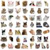 50Pcs Cute Meme Animal Cat Kitty Stickers Skateboard Guitar Suitcase Freezer Motorcycle Classic Toy Decal Funny Sticker Gifts