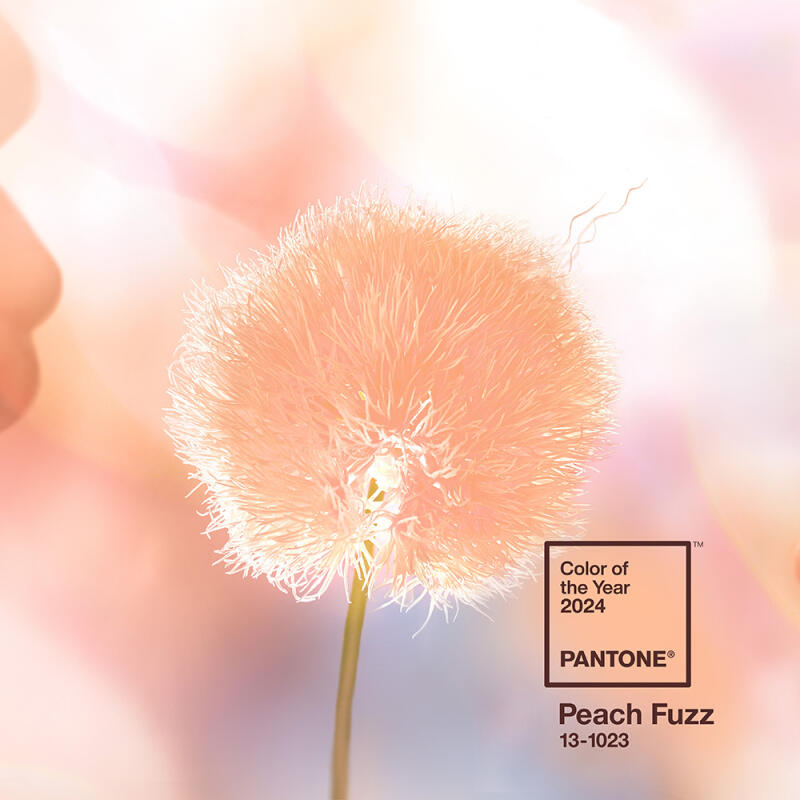Pantone Mug (Peach Fuzz 13-1023 2024 Color of the Year)