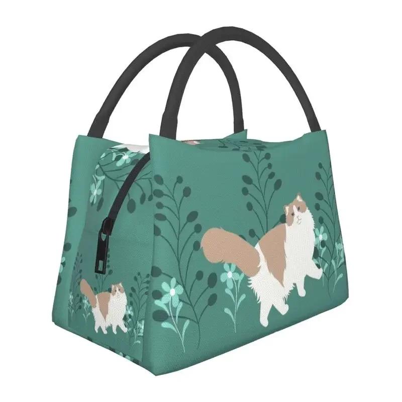 Benutzerdefinierte Elegante Ragdoll Katze Lunchtaschen Männer Frauen Warme Kühltasche Isolierte Lunchboxen für Arbeit Picknick oder Reise