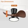 Modern Quiet Ceiling Fan with LED Light 22 Inch Large Air Volume Remote Control for Kitchen Bedroom Dining Room Patio Fan Lamp