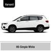 Haval H6 Cool Dog Touch-Up Pen, Black Spot & Ruixue White Scratch Repair Paint