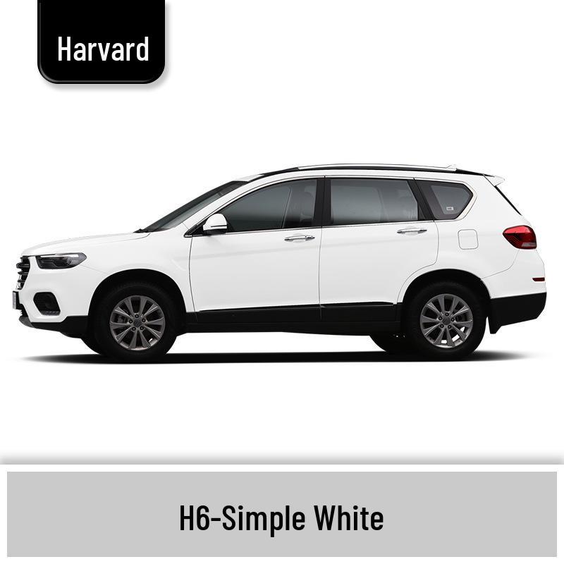 Haval H6 Cool Dog Touch-Up Pen, Black Spot & Ruixue White Scratch Repair Paint