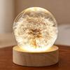 Dandelion Crystal Ball Night Light with Preserved Flower 3D Carving Luminous Resin Ornament.