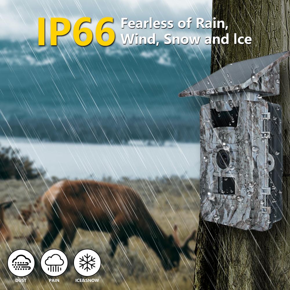 Solar-Powered HD WiFi Hunting Camera: Waterproof, Infrared, Motion Detection.