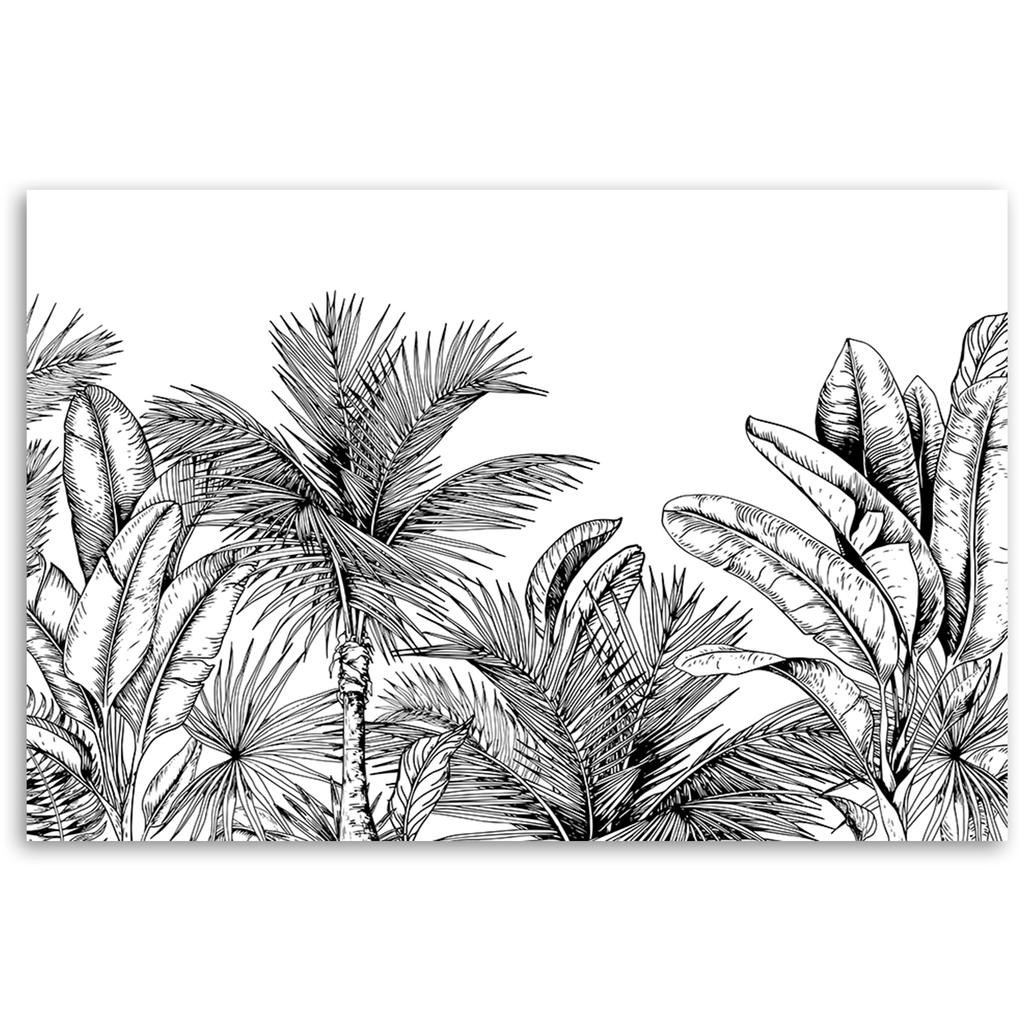 Canvas Print, Black and White Leaves