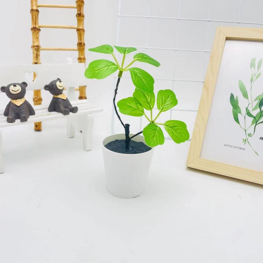 Plant Curved Green Bonsai For Wedding Decor And Photography Decorative Props