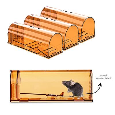 1Pc Mausefalle Käfig Keine Töten Tier Haustier Kontrolle Käfig Wiederverwendbare Mäuse Nagetier Catcher Ratte Falle