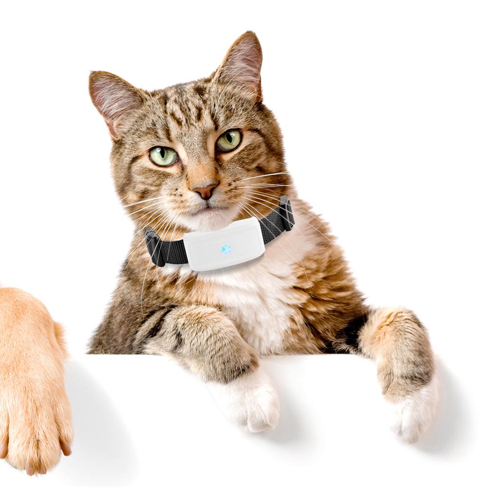 TK911 Pet GPS Tracker: WiFi, GPS & LBS Positioning with Charging Attachment for Cats/Dogs