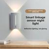 Night Light Ambient Light Human Body Sensor Light Up and Down Light Night Light Cabinet Light LED Induction Linkage