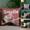 Fate A-Apocrypha AstolfoS Pillow Case Plush Fabric Soft Double Sided Print Sofa Cushion Cover Throw Pillow Covers