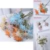 Plastic Eryngium Foetidum Flower For Event Decoration And Artistic Floral Craft