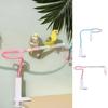 Non-Slip Bird Perch Stand With Bell Parrot Standing Pole Tabletop Parrot Biting Rod  Outdoor
