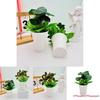 Faux Green Plant With Silk And Plastic For Hotel And Commercial Space Decoration