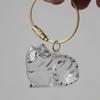 1PC Memorial Pet Fur Storage Pendant Transparent Cat Storage Keychain Cat Hair Preservation Keyring Accessory Cat 5x4cm