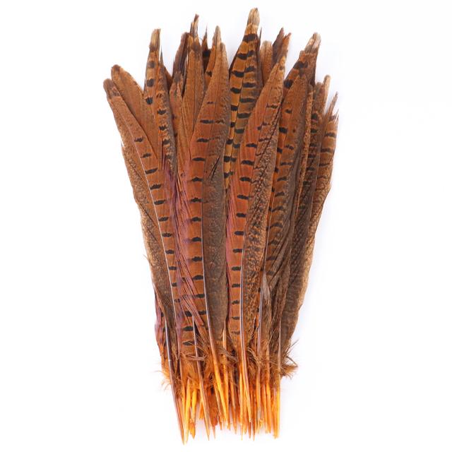 10pcs Multicolor Chicken Feathers Natural Pheasant Tail Feathers 25-30 Cm for Party Clothing Jewelry Making Plume Decoration