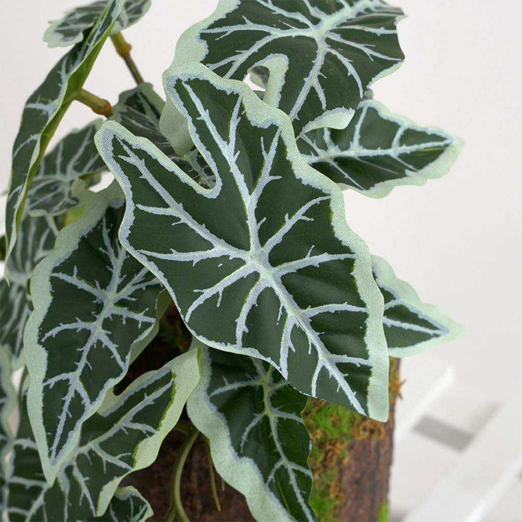 Reptile Plants Tropical Realistic Leaves Terrarium Tank Plant for Bearded Dragons Tortoises Tree Frogs Multiple Options