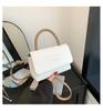 2024 New Fashion Color Block Minimalist Summer Women's Bag Pu Material Versatile Casual Handbag Shoulder Crossbody Bag