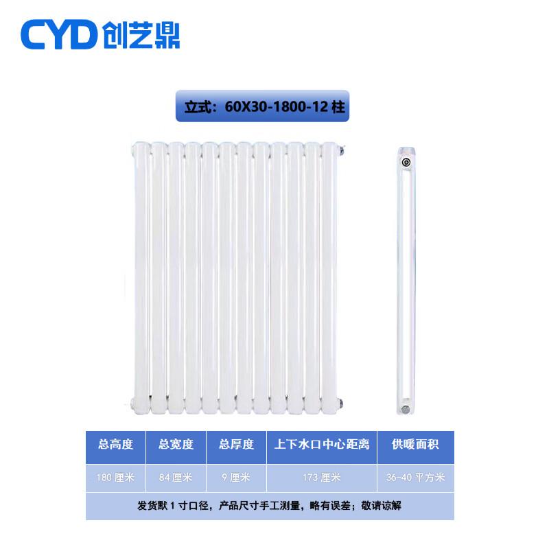 Chuang Yi Ding Steel 6030 Two-Column Hot Water Radiator