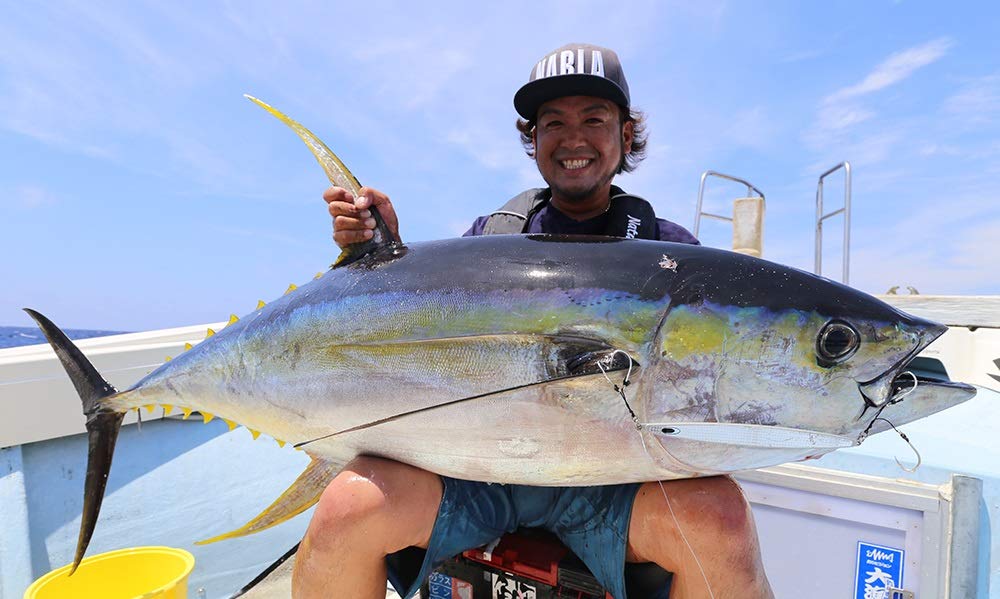 Nature Boys Wiggle Rider Metal 225g WR1225-04K Jig, Anchovy,