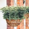 10pcs Silk Artificial Plants Eucalyptus Leaf Festival Home Outdoor Garden Arch Bonsai UV Protection Wedding Diy Gifts Decoration