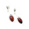 Les Trésors De Lily [I8945] - Amber 'Inspiration' Silver Earrings