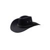 Adult Hat with and Rope for Western Costume