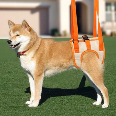 Pet Leg Belt Adjustable Double Fixed Buckle Portable Pet Engineering Leg Harness for Dog