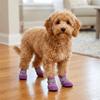 4PCS/SET Wear-Resistant Pet Mesh Shoes Non-Slip Pet Paw Protector Dog Boots Pet Footwear  Walking
