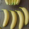 Simulation Model: PU Banana, Eggplant, Cucumber, Corn Ornaments for Display & Photography Props