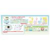 Sumikko Gurashi Sumikko Catch DX
