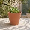 Terracotta Flowerpot Flowerpot, Clay Plant Pot with Drainage Hole, Porous Indoor Outdoor Planter for Plants Succulents Cacti Herbs Crack Resistant